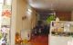 thum-9054930_8LrbBCXJey_1684107225.jpg