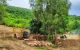 thum-m_jMDRPEN1GZ_1684145684.jpg