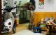 thum-m_u7VHRmiIeo_1684134710.jpg