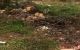 thum-9055206_cICX9e13lR_1684201580.jpg
