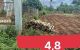 thum-9055375_wHbiVz9B4I_1684225012.jpeg