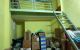 thum-m_Hqgh2BAv7x_1684213579.jpg