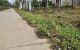 thum-m_Z0aPo75QHI_1684225003.jpeg