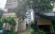 thum-m_kWOHG0n5ax_1684220556.jpg