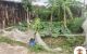 thum-m_q0o7RCtbLa_1684205962.jpg