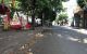 thum-9055826_6wh1ZbuULg_1684335181.jpg