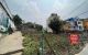 thum-m_scT4ILEeuX_1684311320.jpg