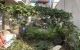 thum-9055992_HVD6FSeOP1_1684384998.jpg