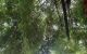 thum-9055993_Wy3leJQprU_1684384735.jpg