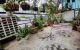 thum-9056068_LelJdsE8Dr_1684395392.jpg
