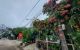 thum-m_au7kXPcYjw_1684404609.jpg