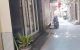 thum-9056580_QD4JPOC8wv_1684504306.jpg