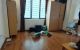thum-9056659_FVEt2bsOdQ_1684549876.jpg