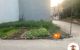 thum-m_0R6jko2Sgb_1684555675.jpg