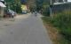 thum-m_irlpaA60Yd_1684547712.jpg