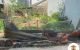 thum-m_uxmXeF5VCW_1684550041.jpg
