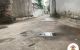 thum-9057166_xBRFI2gAbs_1684739953.jpg