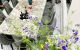thum-9057230_jCuLYWk2Ns_1684746263.jpg