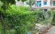 thum-9057555_1UhYZNnmdv_1684840128.jpg