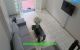 thum-9057832_NzHjZcX8ir_1684921798.jpg