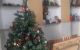 thum-9058451_72hC0Fz3XE_1685086210.jpg