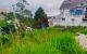 thum-9058456_przdUbmY1f_1685087104.jpg
