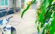 thum-9058671_cuoXaJvT7C_1685157426.jpeg