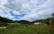 thum-9059046_ewkE9z154r_1685334355.jpg