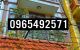 thum-9059065_yC9EdxNfXO_1685340135.jpg