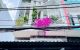 thum-m_BS0bwnAaNK_1685368250.jpg