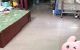 thum-m_W3sTdfOXbH_1685334730.jpg