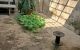 thum-9059404_rWFY1nEDPh_1685442616.jpg