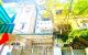 thum-9059531_mWG3dpONxF_1685504318.jpg
