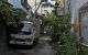 thum-m_sli1bGeCaJ_1685523507.jpg