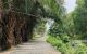 thum-9059715_Auaq13EOXI_1685580182.jpg