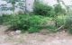 thum-9060078_Fe4HSLPg6U_1685679553.jpg