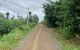 thum-9060296_hQEoqUPZeb_1685760064.jpg
