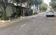 thum-9060307_cT760VDahi_1685762447.jpg