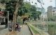thum-9060528_sJBD6ohcXZ_1685876517.jpg