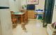 thum-m_sfpj0Vg2Uo_1685871875.jpg