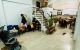 thum-9060576_4zV1hq0uJT_1685923870.jpg