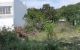 thum-9060687_YW50FO3K8b_1685948627.jpg
