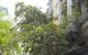 thum-9060730_swWYlgXGdj_1685956114.jpg