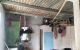 thum-9060750_vXYugaoSD2_1685962522.jpg