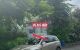 thum-m_hWLtmR4UcD_1686020054.jpg