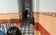 thum-9061304_78YsAeTxQR_1686144986.jpg