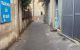 thum-9061463_6D5LfxS1OH_1686209865.jpg