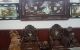 thum-9061777_DIe5Edo1wM_1686303172.jpg