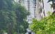 thum-9061792_eLCrykEU91_1686308761.jpg