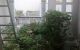 thum-9061894_T4xR7qKJbw_1686367656.jpg